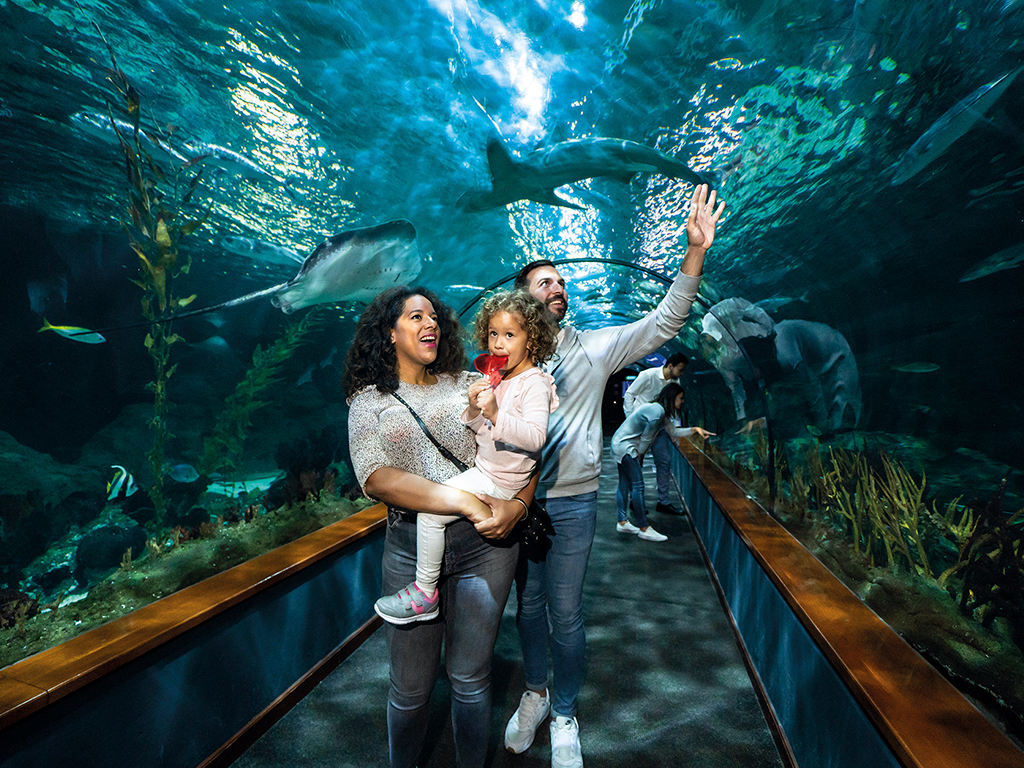 Loro Parque Tenerife Tenerife Tours Loro Parque Tenerife Tenerife Tours